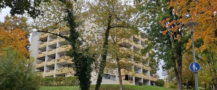 2- Zimmer-Wohnung - Foto 1