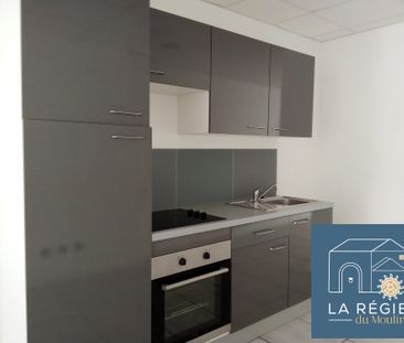 Location Appartement 1 pièce 48m² CHIRENS 38850 - Photo 4