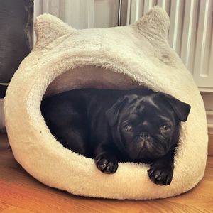 Skeppsmäklargatan, Stockholm - Photo 2