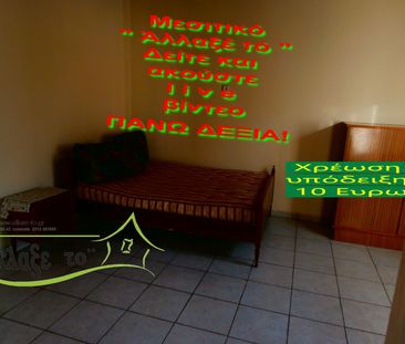 Μονοκατοικία για ενοικίαση Νέα Σάντα (Γαλλικός) - Photo 4