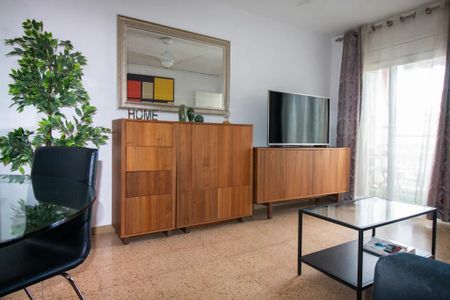 Carrer dAmadeu Torner, L'Hospitalet de Llobregat, Catalonia 08902 - Photo 4