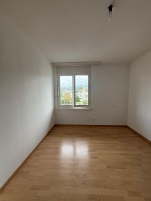 3.5 Zimmerwohnung im grünen Tann zu vermieten - Photo 1