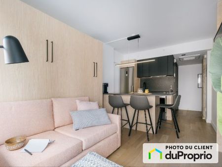 807-315, rue St-Jean, St-Jean-Baptiste à louer - Photo 4