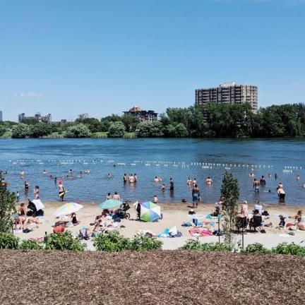 5 1/2 - Montréal (Verdun) - 1 785 $/mois - Photo 4