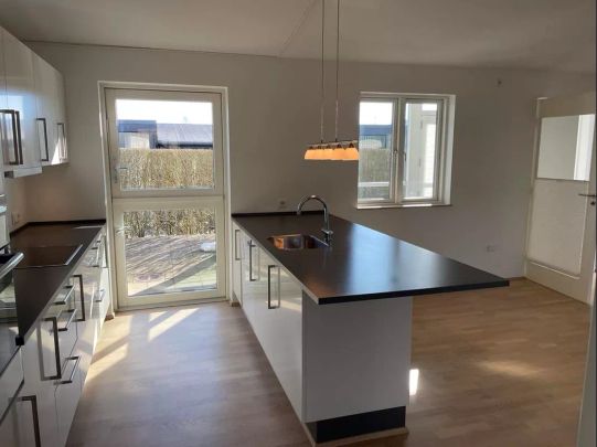 Skønt og rummeligt rækkehus - Photo 1