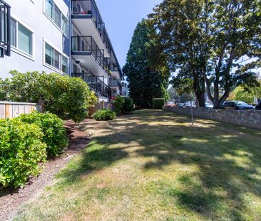 Royal Arms - Photo 6