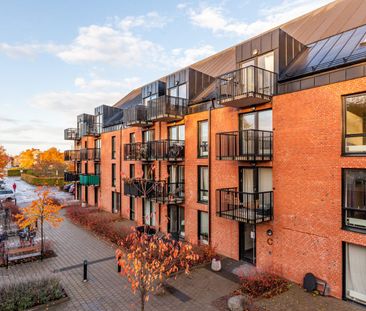 Malcusgatan, Halmstad - Foto 4