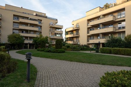 Apartament 155,44 m2 do wynajęcia od zaraz - Zdjęcie 5