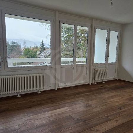 Bel Appartement - Petit-Lancy - Photo 2