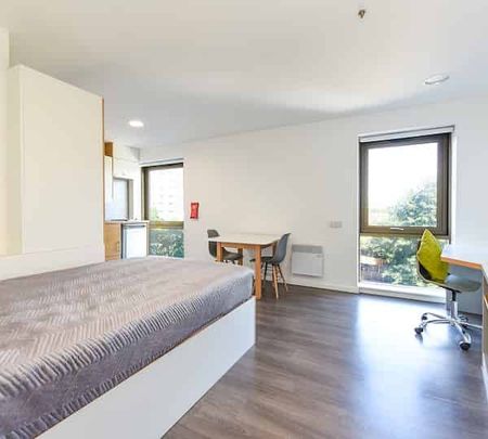 Studio Gold - Photo 3