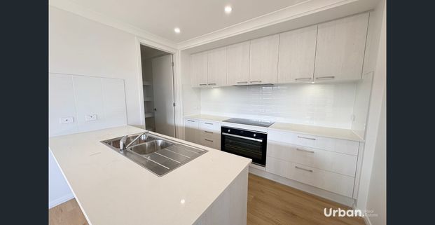 Spacious Modern- Brand New Four-Bedroom Family Home! - Photo 1