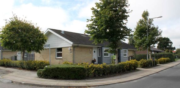 Hasselvej 1-3, 2-12, 5-11 - Brovst - Foto 2