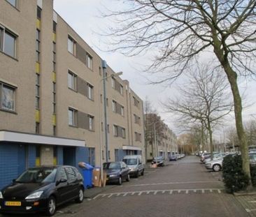 Afrikalaan 0ong, 2622 Delft, Nederland - Foto 3