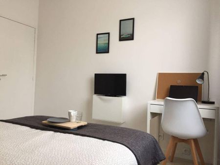 Colocation meublée île de Nantes - Photo 2