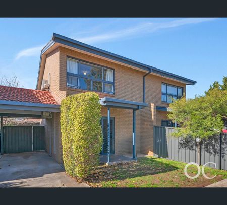 3/290 Cross Road, Clarence Park, SA 5034 - Photo 4