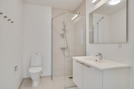 Kæledyr tilladt efter aftale - Photo 4