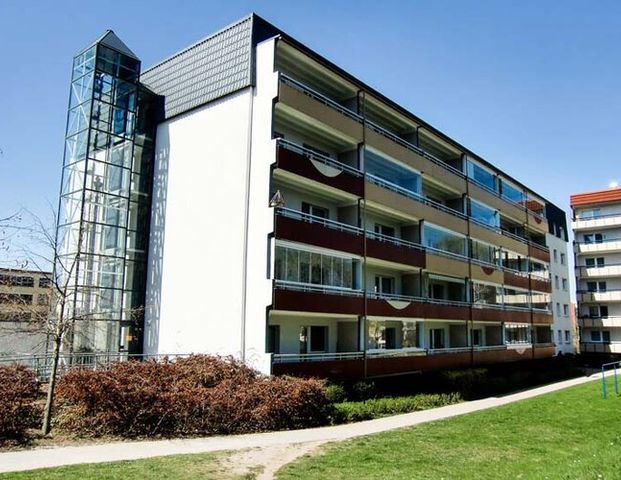 Seniorenwohnung - mit Aufzug erreichbar! - Photo 1