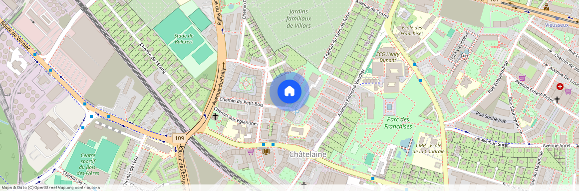 Chemin de Maisonneuve 12 B, 1219 Châtelaine