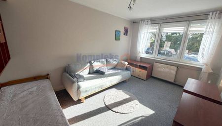 Nowe Miasto, ul. Potulicka, Szczecin - Фото 2