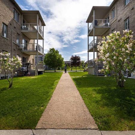 4 1/2 à louer Lévis centre-ville - Photo 3