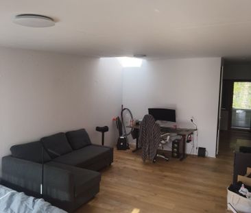 Studio de 50 m2 + terrasse + parc + cave - Foto 2