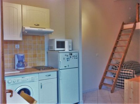 Location Appartement 1 pièce 18m² BURES SUR YVETTE 91440 - Photo 4