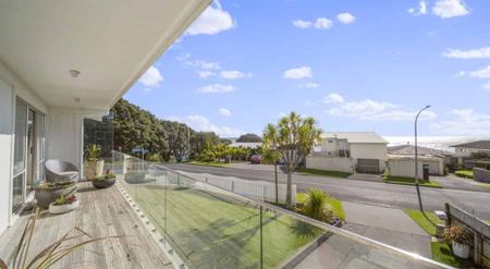 Large / Extended Family Opportunity - Photo 3