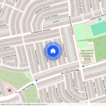 16 Vecchia Street, Markham