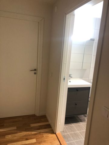 Långjökelgatan, Kista - Photo 5