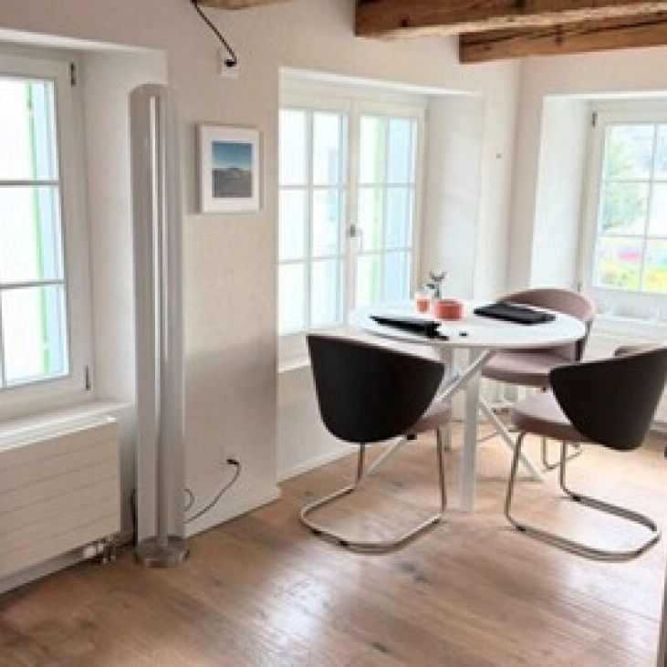 1.5 Room 1st floor middle Loft apartment A5 in Männedorf - Foto 1