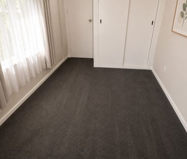128 Main South Road, Sockburn - Photo 3