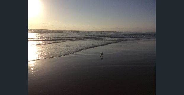 RIVERSIDE HOLIDAYS BY READYSET 99472 - Photo 1