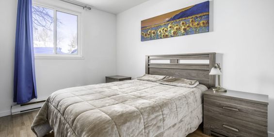 4 1/2 - Ramoneur - Photo 3