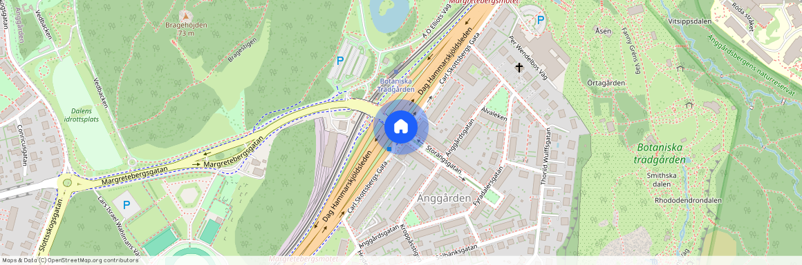 Carl Skottsbergs gata, Göteborg