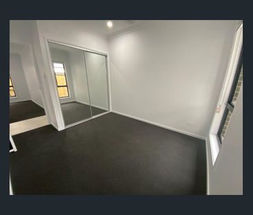 Available Jan 9th - Photo 5