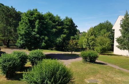 Très bel et grand appartement T1 en mezzanine à Clamecy - Photo 5