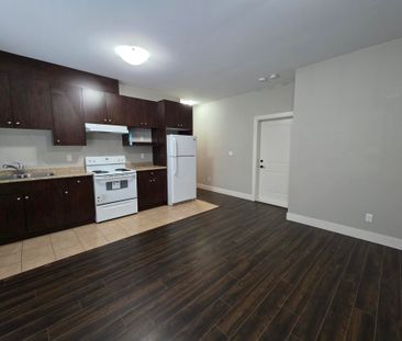 Centrally Located, Spacious Two Bedroom/One Bathroom Suite - Photo 6