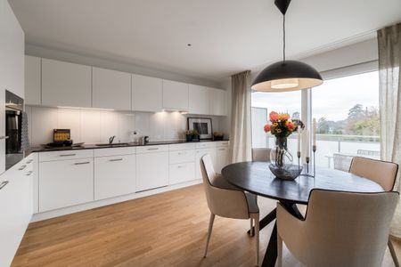 Sonnenstunden auf der Attikaterrasse gesucht? - Photo 5