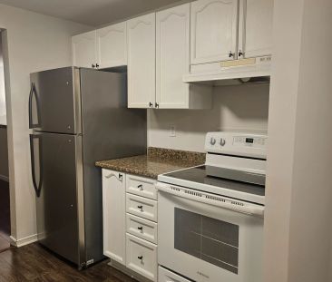 11 Finlay Road #Main - Photo 5