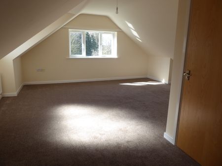 35 Gorse Lane, - Photo 4