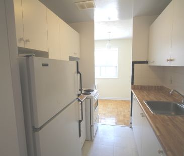 Lu Ray Apartments — 1 Bedroom - Photo 2