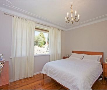 Freshly Painted Modern Home - Amazing Outdoor Area - Photo 3