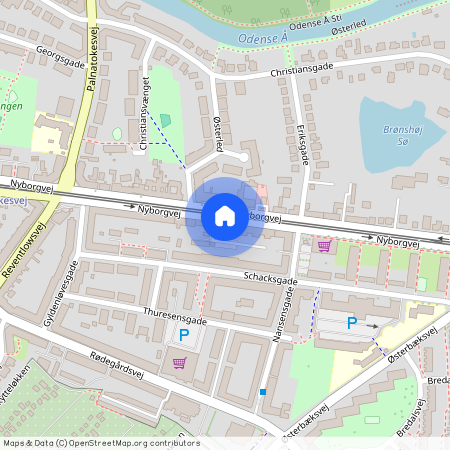 Nyborgvej 69 1. lejl. 3, 5000 Odense C