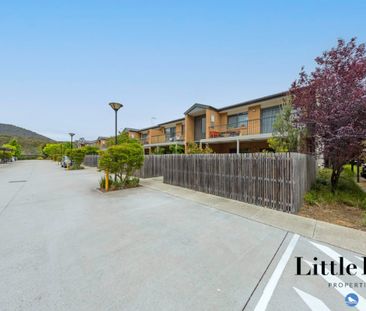 Light filled Ground Floor Apartment! - Photo 5