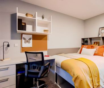 Premium Studio - Photo 4