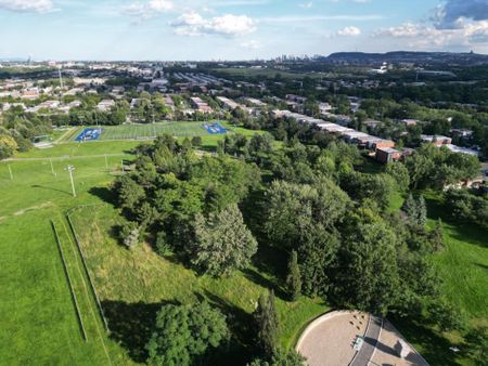 10245 Rue D'Iberville, H2B 2T7, H2B 2T7, Montréal - Photo 4