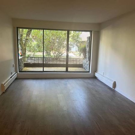 1bd - PET FRIENDLY Close to UBC Kitsilano Beach - Photo 1