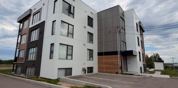Logement 4 1/2 - Alma - Photo 2