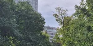 Loggiawohnung / U2/U4 Schottenring - Foto 3