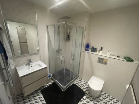 Alder Lodge, Farmleigh Woods, Castleknock, Dublin 15 - Photo 5